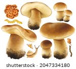 mushroom with autumn elements... | Shutterstock . vector #2047334180
