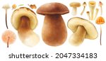 mushroom with autumn elements... | Shutterstock . vector #2047334183