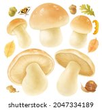 mushroom with autumn elements... | Shutterstock . vector #2047334189