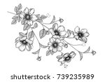 flowers drawing with line art... | Shutterstock .eps vector #739235989