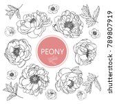 Collection Peony With Line Art...