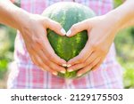 Woman holding a watermelon with her hands folded on it in the shape of a heart.
