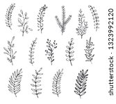 botanical vector illustration.... | Shutterstock .eps vector #1323992120