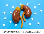 Small photo of 3D anatomical model of kidneys is on blue background surrounded by white pills as ornament polka dots. Medical concept by pharmacological tableted treating renal disease, pharmacotherapy chemotherapy