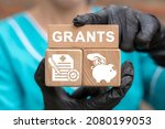Small photo of Concept of grant. Grants for medical innovation, research, education. Doctor holding wooden blocks with grants concept.
