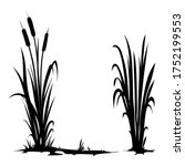 Vector Silhouette Of Cattail...