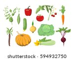 vector illustrations set of... | Shutterstock .eps vector #594932750