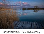 Pier made of planks in the reeds on the shore of a calm lake, trees on the horizon and clouds after sunset, Stankow, eastern Poland