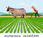 Farmer Plowing Paddy Field With ...