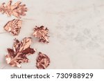 Autumn Rose Gold Colored Leaves ...