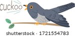 Illustration Of A Cuckoo Bird...
