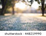 Frosted grass on a blurry bokeh sunrise backdrop