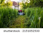 Freshly trimmed deep grass and out of focus lawn mower, sunny spring afternoon on countryside, low angle view