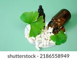 Small photo of Ginkgo biloba pills.ginkgo biloba leaf and white tablets with ginkgo biloba extract on green background.Preparations with ginkgo biloba extract.Alternative medicine and homeopathy.Green natural