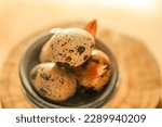 Small photo of Quail eggs.Feathers on quail eggs in a blue cup.Organic farm products.Useful healthy food.Organic farm natural quail eggs set in the rays of the sun.
