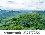 Small photo of Kurishu Paara is a mountain located in Edvanna village around 15 km from Nilambur in Malappuram district of Kerala. There is a chain above the rocks to help the accent. A Cross and an Ohm symbol have