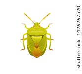 Green Bug Icon. Shield Insect...