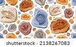 Fossil Pattern Vector....