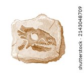 dinosaur fossil skeleton.... | Shutterstock .eps vector #2143048709