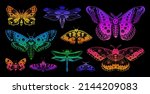 butterfly neon vector design on ... | Shutterstock .eps vector #2144209083