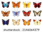 Butterfly Vector Set. Insect...