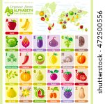 alphabet food infographics.... | Shutterstock .eps vector #472500556