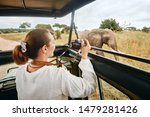 Woman tourist on safari in Africa, traveling by car with an open roof of Kenya and Tanzania, watching elephants in the savannah.