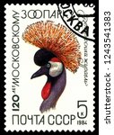 Small photo of STAVROPOL, RUSSIA - November 28. 2018: A stamp printed in SSSR shows Crowned crane, Balearica pavonina, series, circa 1984