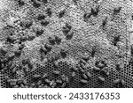 Small photo of Abstract hexagon structure is honeycomb from bee hive filled with golden honey, honeycomb summer composition consisting of gooey honey from bee village, honey rural of bees honeycombs to countryside