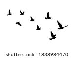 flying birds silhouettes on... | Shutterstock .eps vector #1838984470