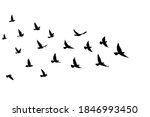 flying birds silhouettes on... | Shutterstock .eps vector #1846993450