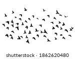 flying birds silhouettes on... | Shutterstock .eps vector #1862620480