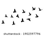 flying birds silhouettes on... | Shutterstock .eps vector #1902597796