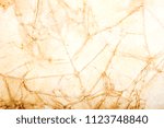 blank aged paper sheet as old... | Shutterstock . vector #1123748840