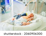 Two-day-old newborn baby boy in intensive care unit in a medical incubator. Newborn rescue concept. The work of resuscitation doctors. Photo indoors.