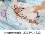 Small photo of Unrecognizable hand in gloves of nurse or doctor taking care of premature baby placed in a medical incubator. Neonatal intensive care unit in hospital.