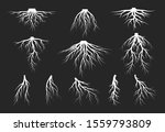 vector isolated illustration of ... | Shutterstock .eps vector #1559793809