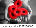 Commonwealth Countries, Remembrance Day, Veterans Day, Poppy Day, Armistice Day
