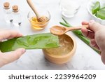 Small photo of Natural homemade aloe vera gel face and body scrub for skin problems. DIY Recipe for sunburn, acne and dry skin. Hands of woman preparing aloe vera gel with honey, sea salt and essential oil.