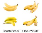 bananas on a white background.... | Shutterstock . vector #1151390039