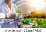 Small photo of nature, agriculture, laboratory, science, researcher, biochemistry, eco, chemical, biotechnology, plant. researchers pick up trial sample for check research bio laboratory. eco nature chemical.