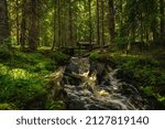 Small photo of Small creek flushing in a dense fir forest in Sweden, used to supply power to an old forge Smitty