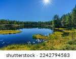 Beautiful summer view from a small and mirror like lake in the Swedish countryside with a clear blue sky and a bright sun with rays