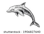 Dolphin Drawing  Vector Sketch. ...
