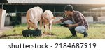 Animal husbandry in cattle farm....
