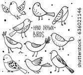 Bird Collection. Collection Of...