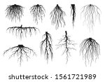 Tree Roots Silhouettes Isolated ...