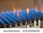 Gas burning in a heating appliance. A stainless steel burner heats a copper heat exchanger.