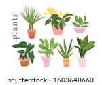 potted plants collection.... | Shutterstock .eps vector #1603648660