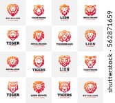 tiger and lions face logo badge ... | Shutterstock .eps vector #562871659